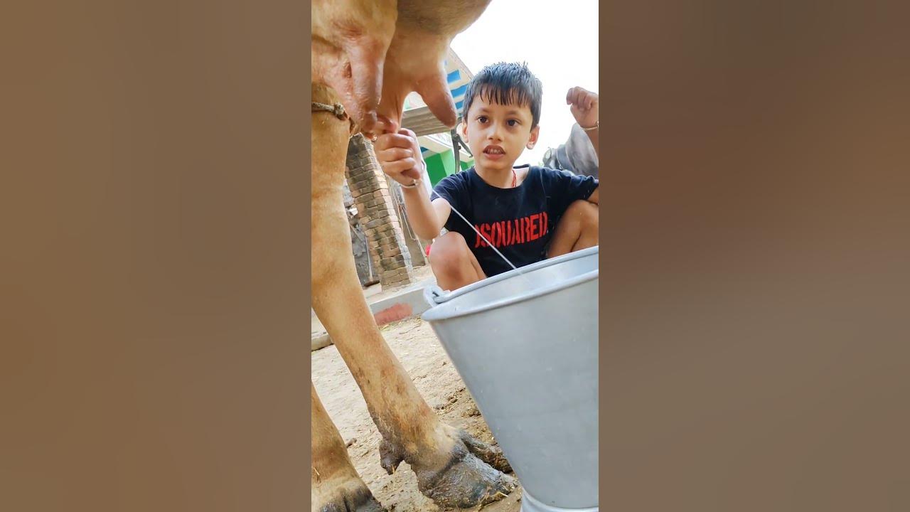 choti choti gaiya htytt gfh #love #song #funny