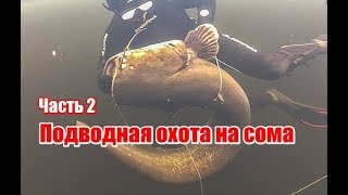 Подводная охота на сома, ч.2 (RUS)(www.nipnip.com.ua Страница 