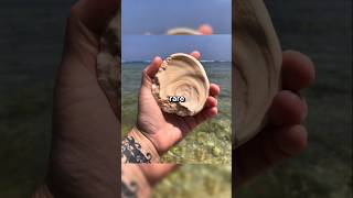 Rare Photos You've Never Seen Before [Part 124]