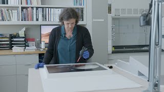 Behind the Scenes with a Conservator