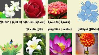 Nama-nama bunga dalam Bahasa Arab