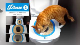 TheLastLitter Cat Potty Trainer screenshot 3