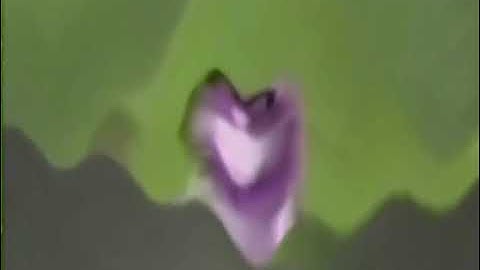 Screaming blue thing Effects (Sponsored By Preview 2 Effects)