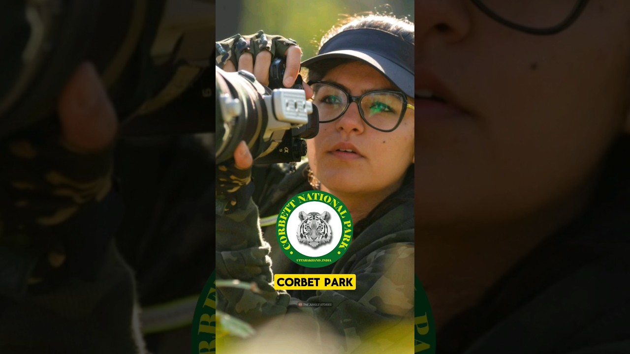 History of FEBRUARY 1985  David hunt killed Tiger ATTACK Corbett park 