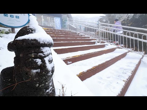 전국 곳곳 겨울 시작 알리는 첫눈…한라산 <strong>20cm</strong> 넘게 쌓여 / 연합뉴스TV (YonhapnewsTV)