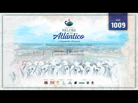 LOTE 1009   MATA B4591