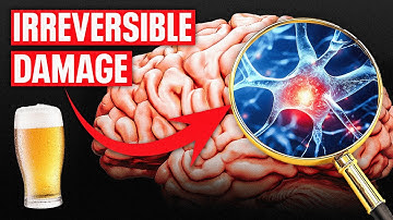 Glutamate Surge: How Alcohol Hijacks Your Brain