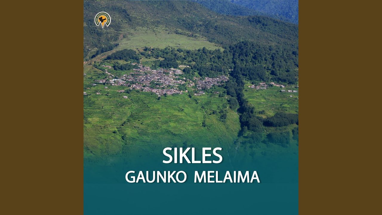 SIKLES GAUNKO MELAIMA