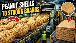This Hidden Factory Turns Peanut Shells Into Boards You Won’t Believe