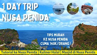 ONE DAY TRIP TO NUSA PENIDA | CHEAP TIPS FOR NUSA PENIDA