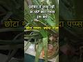 एलोवेरा में पप्प्स नहीं आ रहे? छोटा गमला ट्राय करो!छोटा गमला, ज़्यादा पप्प्स!"