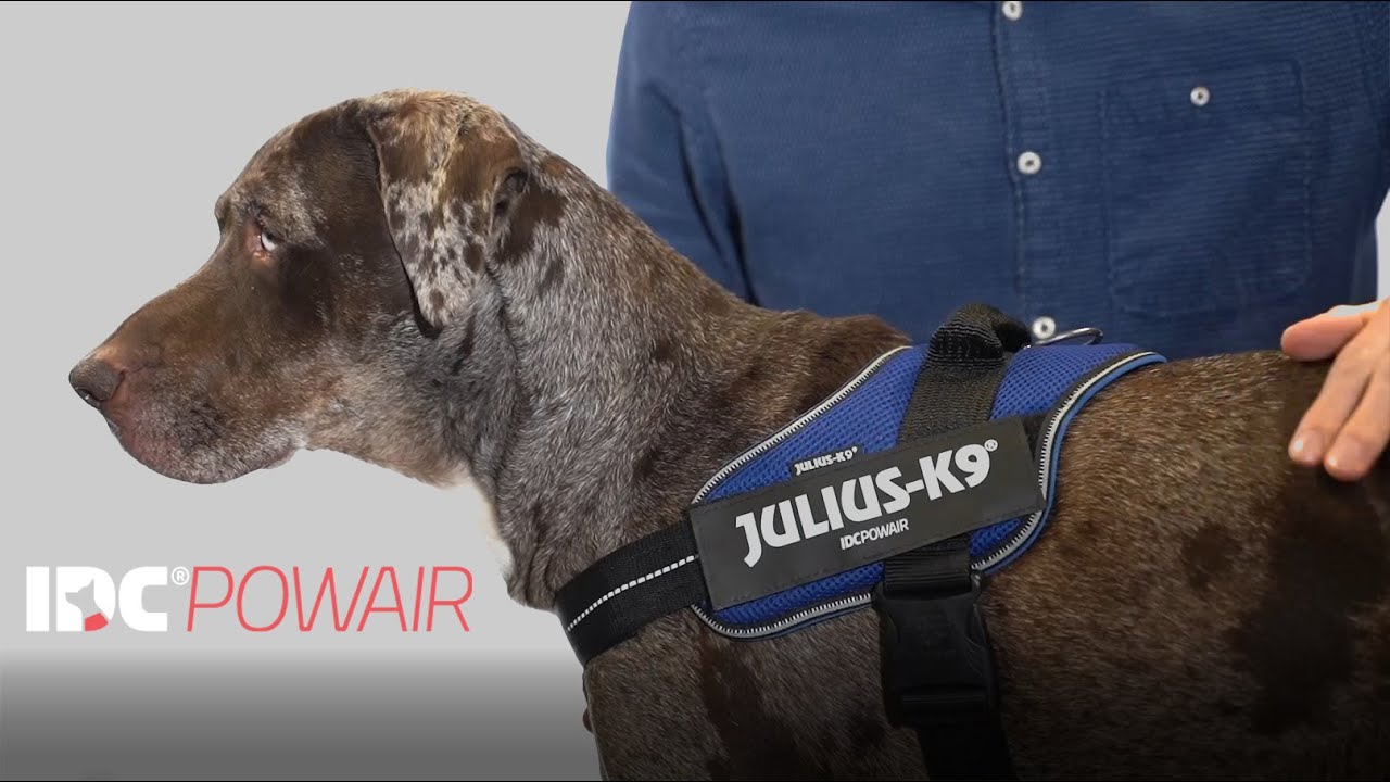 IDC Powair Fits Well For Leisure Activities YouTube idc-powair-fits-well-for-leisure-activities-youtube