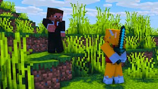I Joined a Random Streamer’s SMP