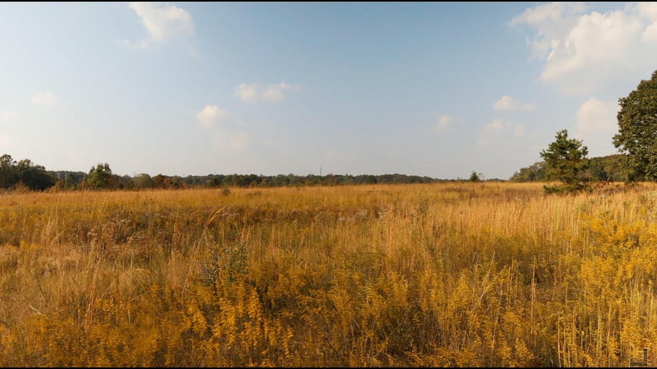 Bringing back Piedmont Prairies YouTube