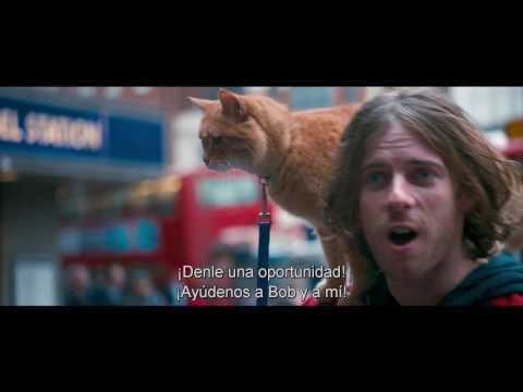 Un Gato Callejero Llamado Bob - Trailer