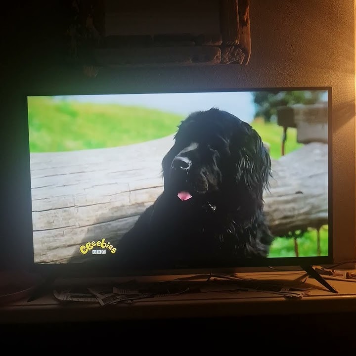 17 September 2024 dog squad every day 16:15 cat cbeebies bbc channel 306 bbcfricachannels.com