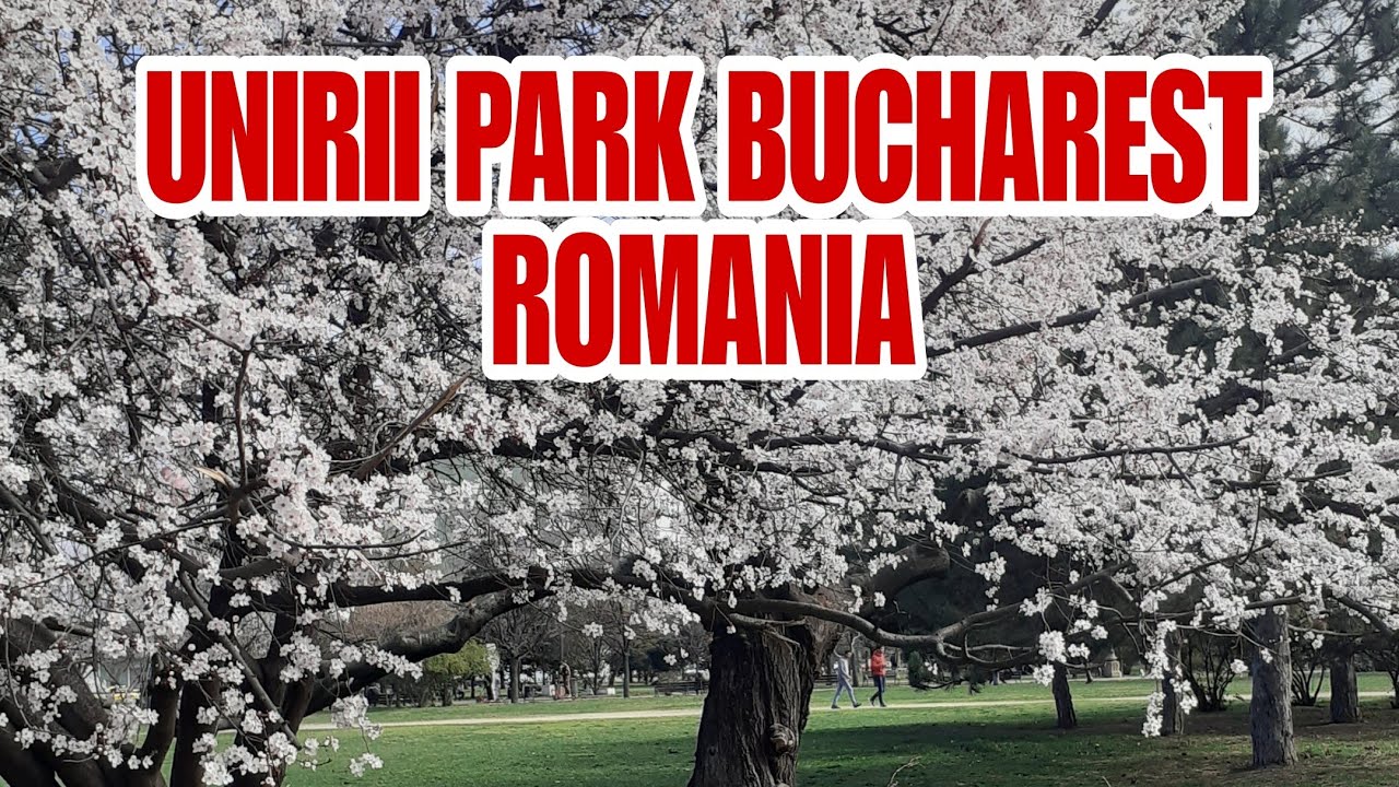 Binisita ko ang tambayan ng mga FILIPINO dito sa ROMANIA