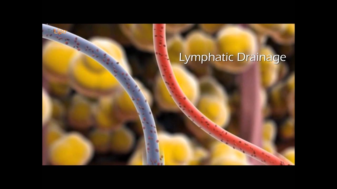 Tri-Lipo & Tri-Fractional Technology