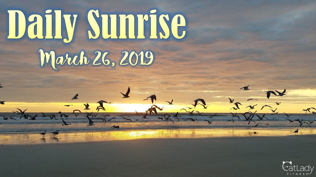 relaxing nature sounds beach Daily sunrise on the beach (flock of seagulls!) 🕊🌊 - March 26, 2019