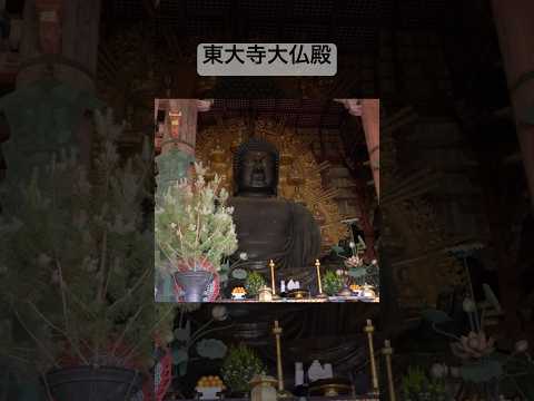 壯觀！奈良東大寺大佛殿與盧舍那佛的震撼魅力#奈良旅遊 #東大寺 #奈良大佛 #日本文化 #世界遺產 #佛教建築
