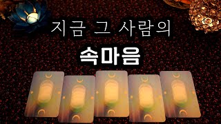 [타로] 지금 그 사람의 속마음