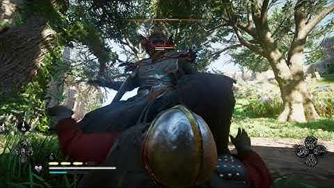 Checking New Items & Changes In Assassin