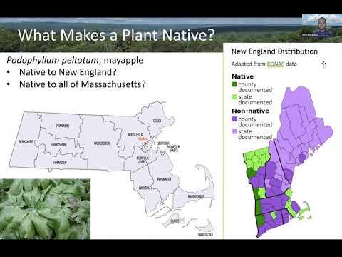 Video: Ce plante sunt în New Hampshire?