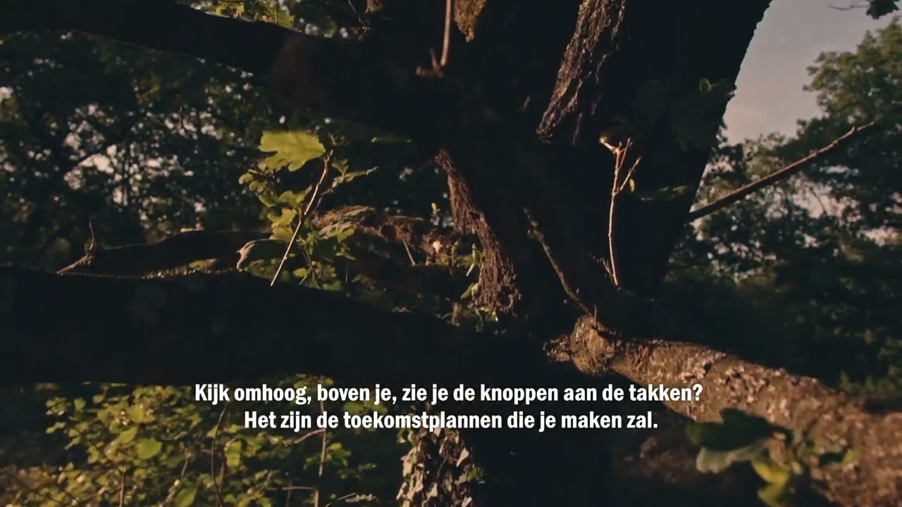 Schatzoekers - op zoek naar je identiteit