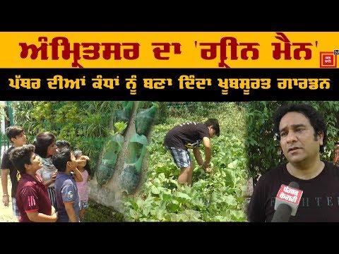 Income Tax Officer ਬਣਿਆ `Green Man`, ਕੰਧਾਂ `ਤੇ ਲਗਾਉਂਦਾ ਹੈ Vertical Garden
