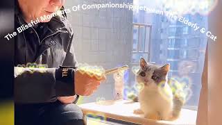 😸💖🧑‍🦳👩‍🦳The Blissful Moments Of Companionship Between The Elderly & Cat🎉🎉 by Qiu Share - cute & funny animals 372 views 2 months ago 3 minutes, 35 seconds