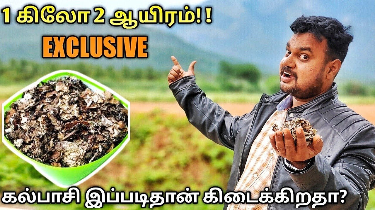 STONE FLOWER | இங்க மட்டும்தான் கிடைக்கும் | First time in youtube |yummy vlogs |kalpasi