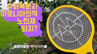 슈퍼복분자와 아로니아 노린재 퇴치법