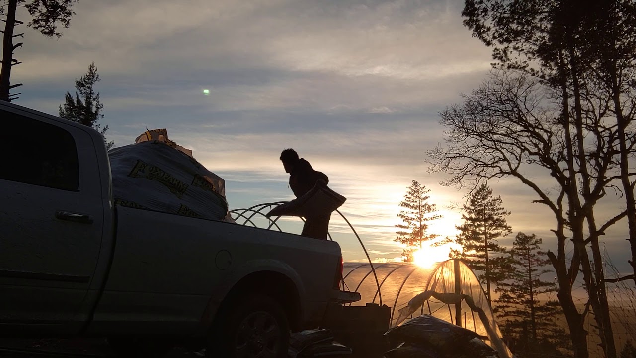 GROWERS LIFE - ANOTHER TRIP TO THE GROW SHOP