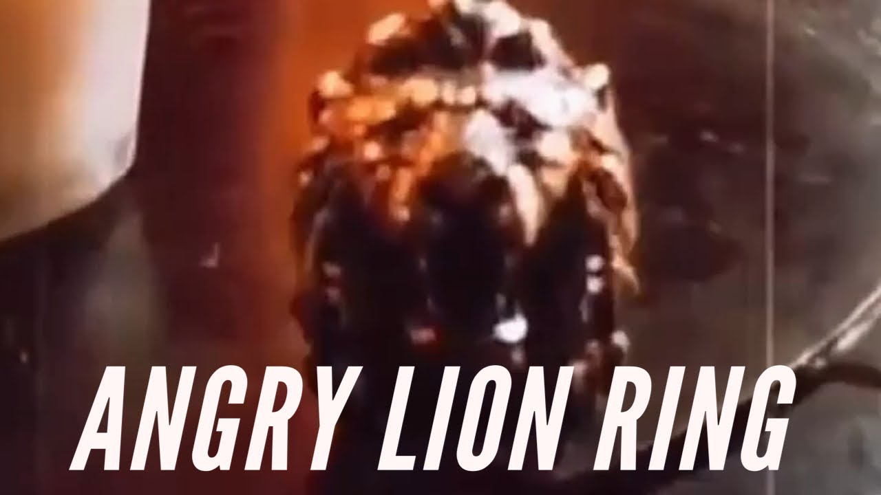 Silver Angry Lion Ring 🦁 | AJT Jewellery