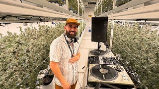 Sensi Sessions Feat Nikka-T Pt 3 - Side A (Live Mix)