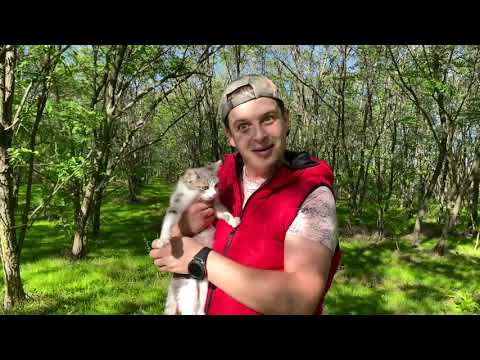 Funny Kids and Dad in a mysterious maze with surprises