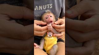Lili still needs her mother's supervision regarding her eating habits.#monkey