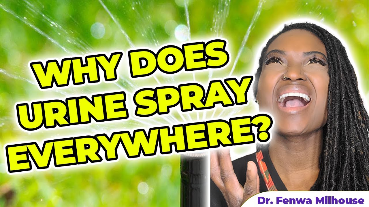 SPLIT STREAM SPRAYING URINE STREAM Dr Milhouse YouTube SPLIT STREAM SPRAYING URINE STREAM Dr Milhouse YouTube