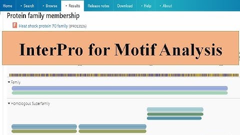 #pfam is not working #Interpro #Motif analysis | Known domain in Protein Sequence #Bioinformatics