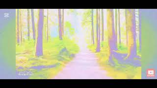 Flawed mangoes Signal lost