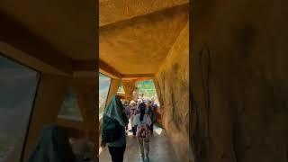 Pls At Gembira Loka Zoo  Domba Squad