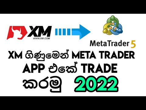 How to Link XM Brokers Account to MT5 MetaTrader5 2022