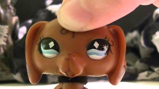Halloween Special 2014 (Q&A #2)