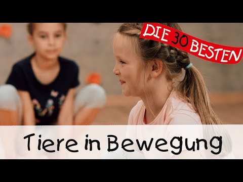 Video: Wie Man Sich Mit Tieren Bewegt