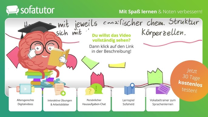 Aufbau der Netzhaut Biologie – inkl. Funktion von Nerven