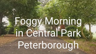 Foggy Morning In Peterborough Central Park