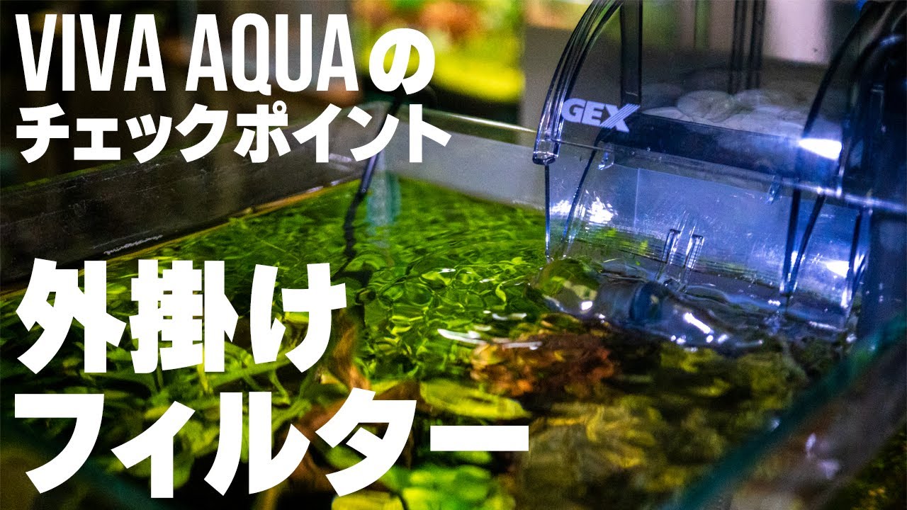 小型水槽の外掛けフィルターといえば？ビバアクアこだわりポイントとオススメ製品の紹介！ #アクアリウム #小型水槽 【ビバアクア】