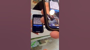 Bitcoin Lightning Network Speed Test