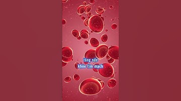 Đi Bộ 30 Phút Mỗi Ngày – Bí Quyết Sống Khỏe Sống Thọ Đến 100 Tuổi | Bác Sĩ Hội