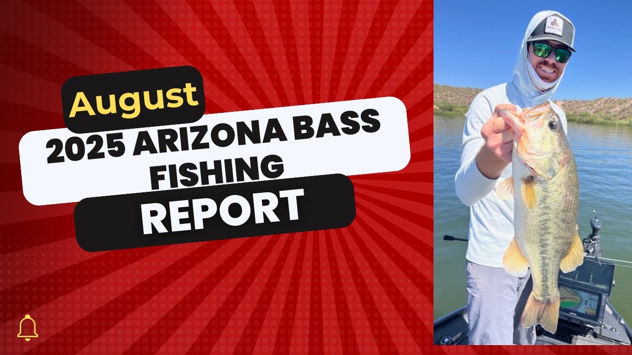 Arizona August Bass Fishing Report 2025